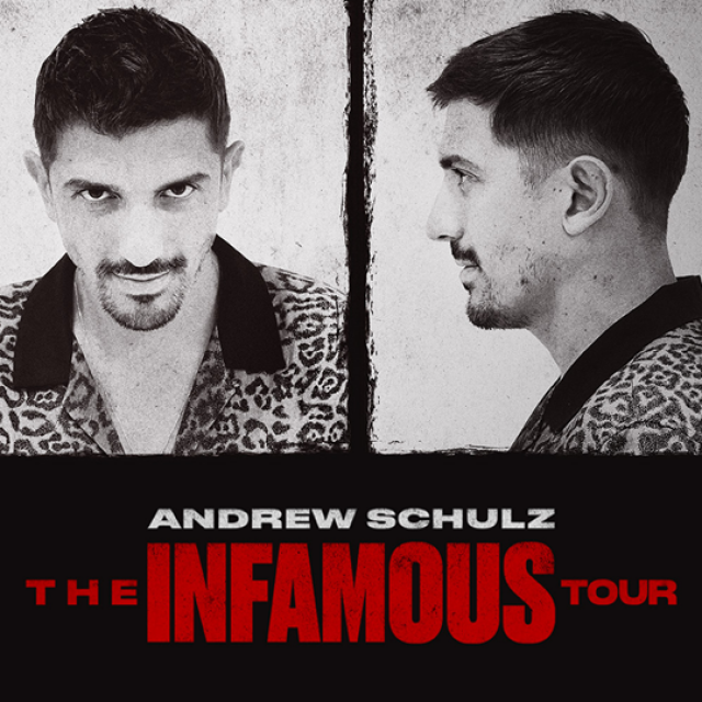 Andrew Schulz tour art