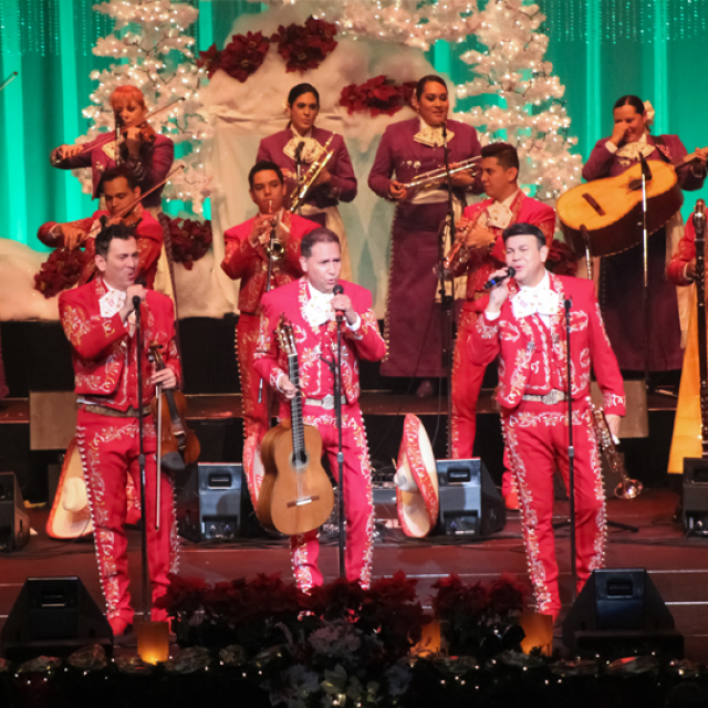 Merry-achi Christmas live photo