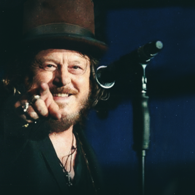 Zucchero photo