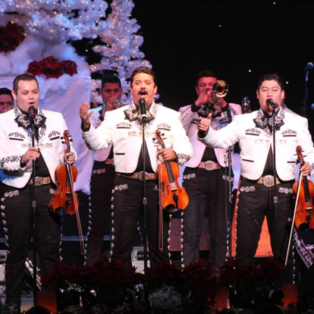 Merry-achi Christmas live photo
