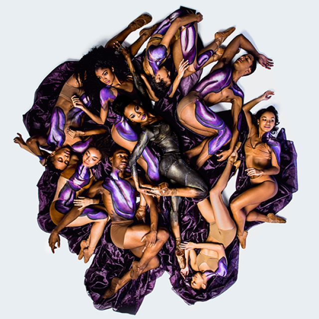 Black Iris Project photo